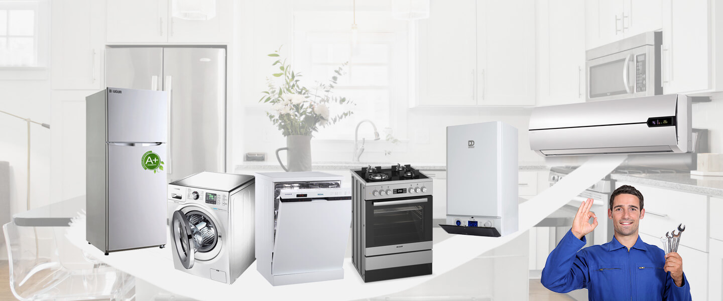 Güroymak Gorenje Servisi